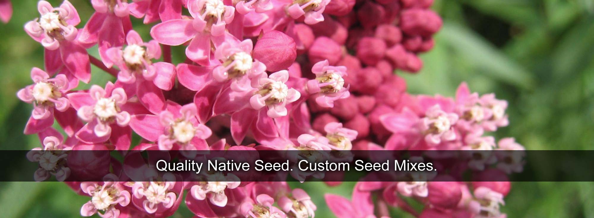 Quality Native Seed. Custom Seed Mixes.